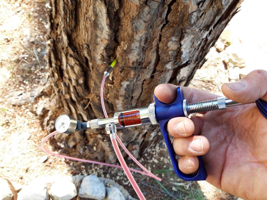 Keio Jardins_ Tratamiento de endoterapia contra la oruga procesionaria