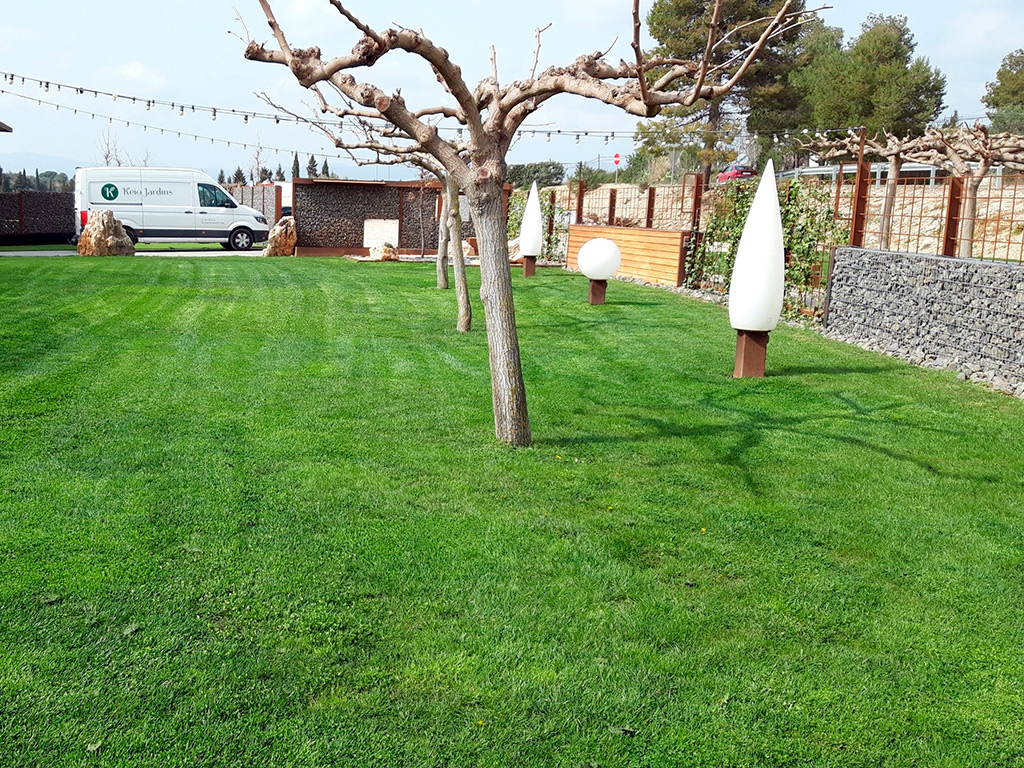 cuidados-basicos-para-lucir-un-cesped-vigoroso