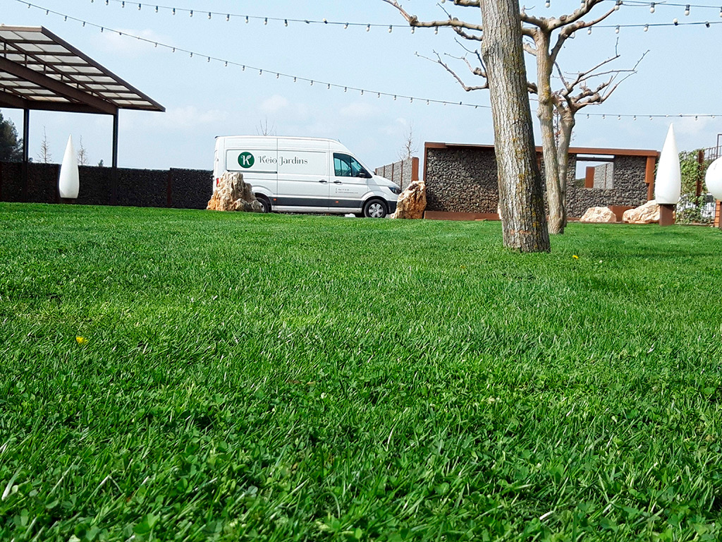 cuidados-basicos-para-lucir-un-cesped-vigoroso