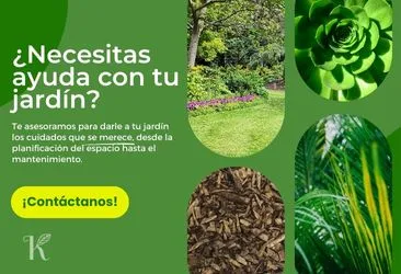 ¿Necesitas ayuda con tu jardín? ¡Contáctanos!