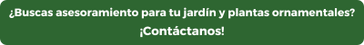 ¿Buscas asesoramiento para tu jardín y plantas ornamentales? ¡Contáctanos!