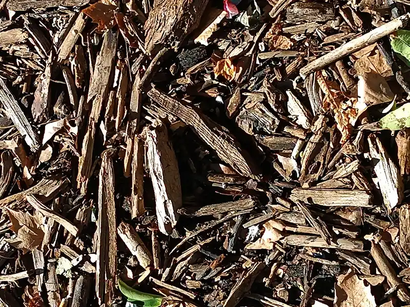 Keio Jardins_Mulching con restos de poda