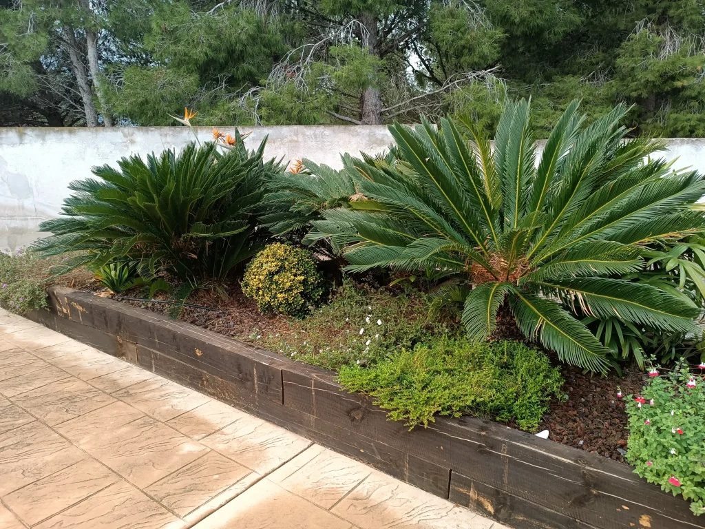 Keio Jardin_Cuidados del jardín todo el año