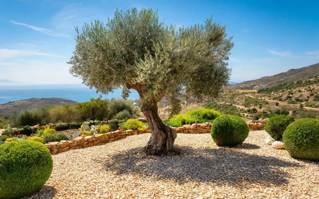 Keio Jardins_Xerojardín de estilo mediterráneo