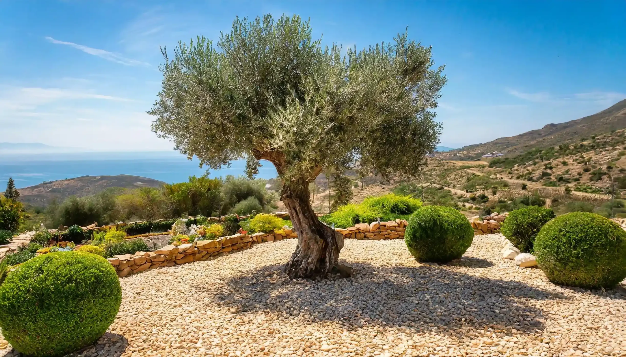 Keio Jardins_Xerojardín de estilo mediterráneo