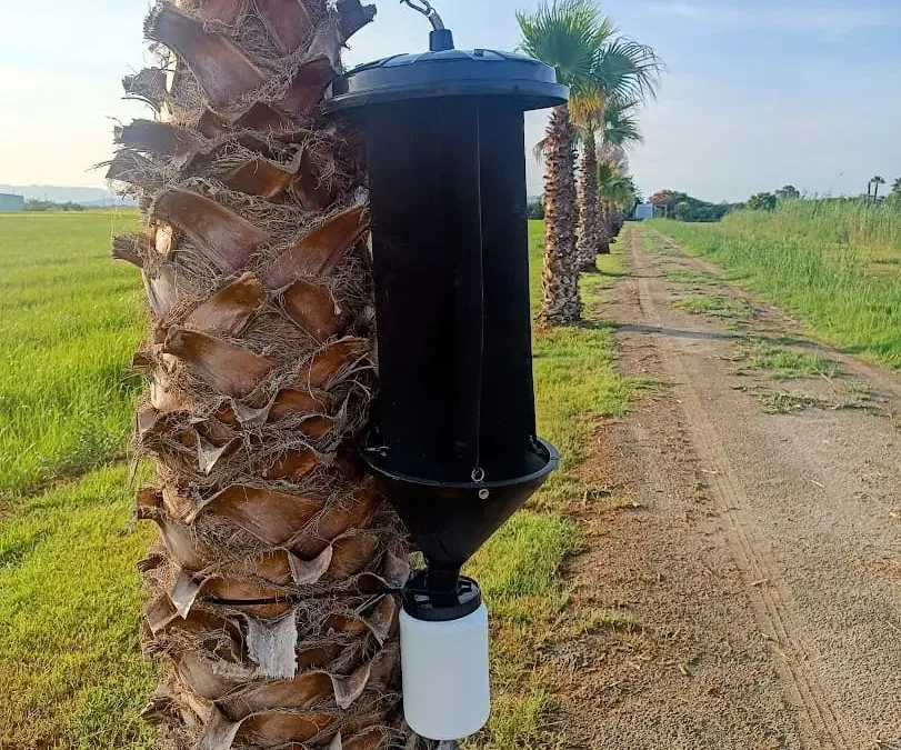 Keio Jardins_Trampas para controlar plagas de forma ecológica