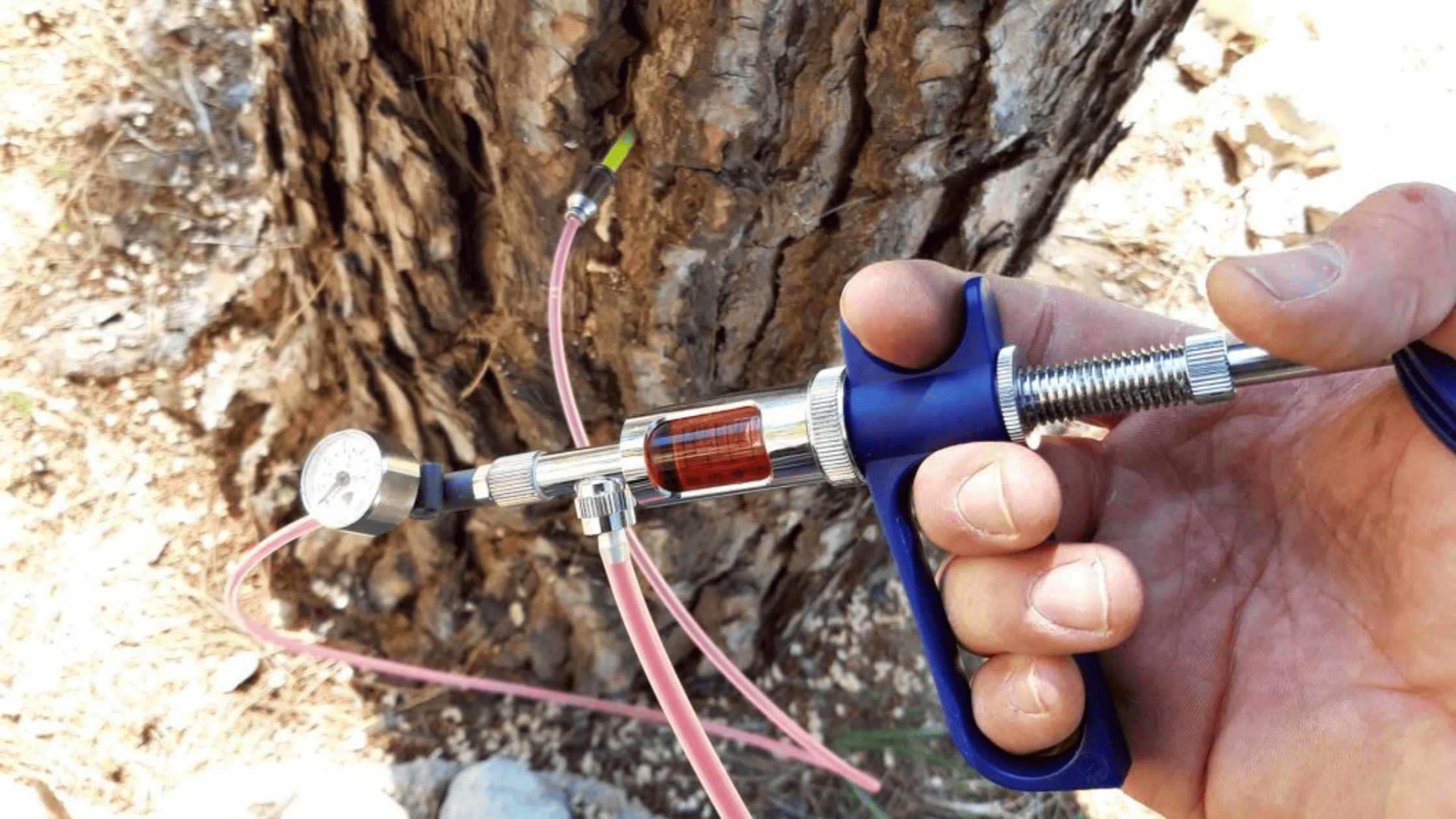 Keio Jardins_Beneficios endoterapia