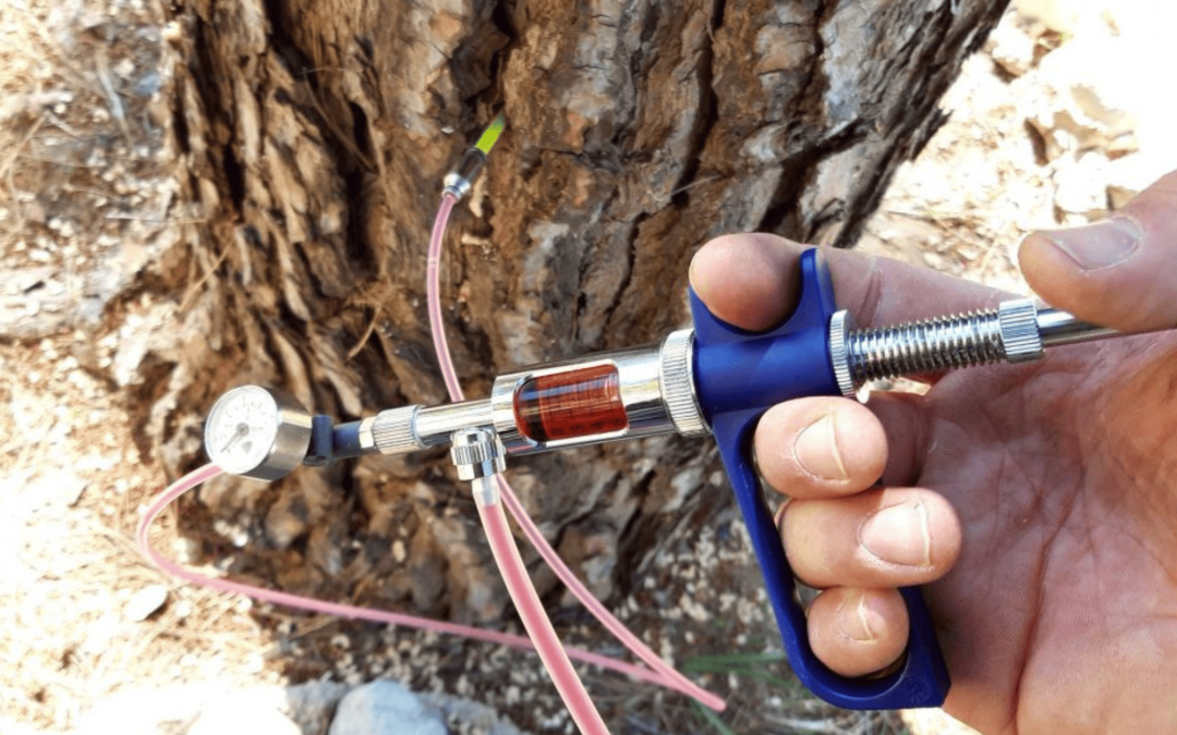 Keio Jardins_Beneficios endoterapia