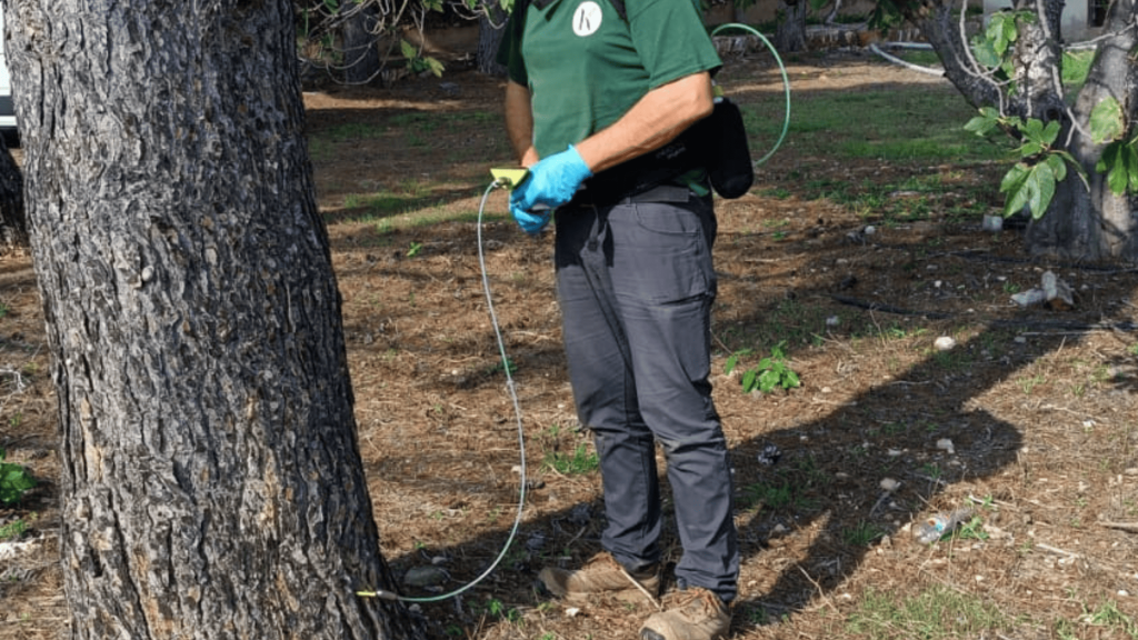 Keio Jardins_Usos de la endoterapia además del control de plagas