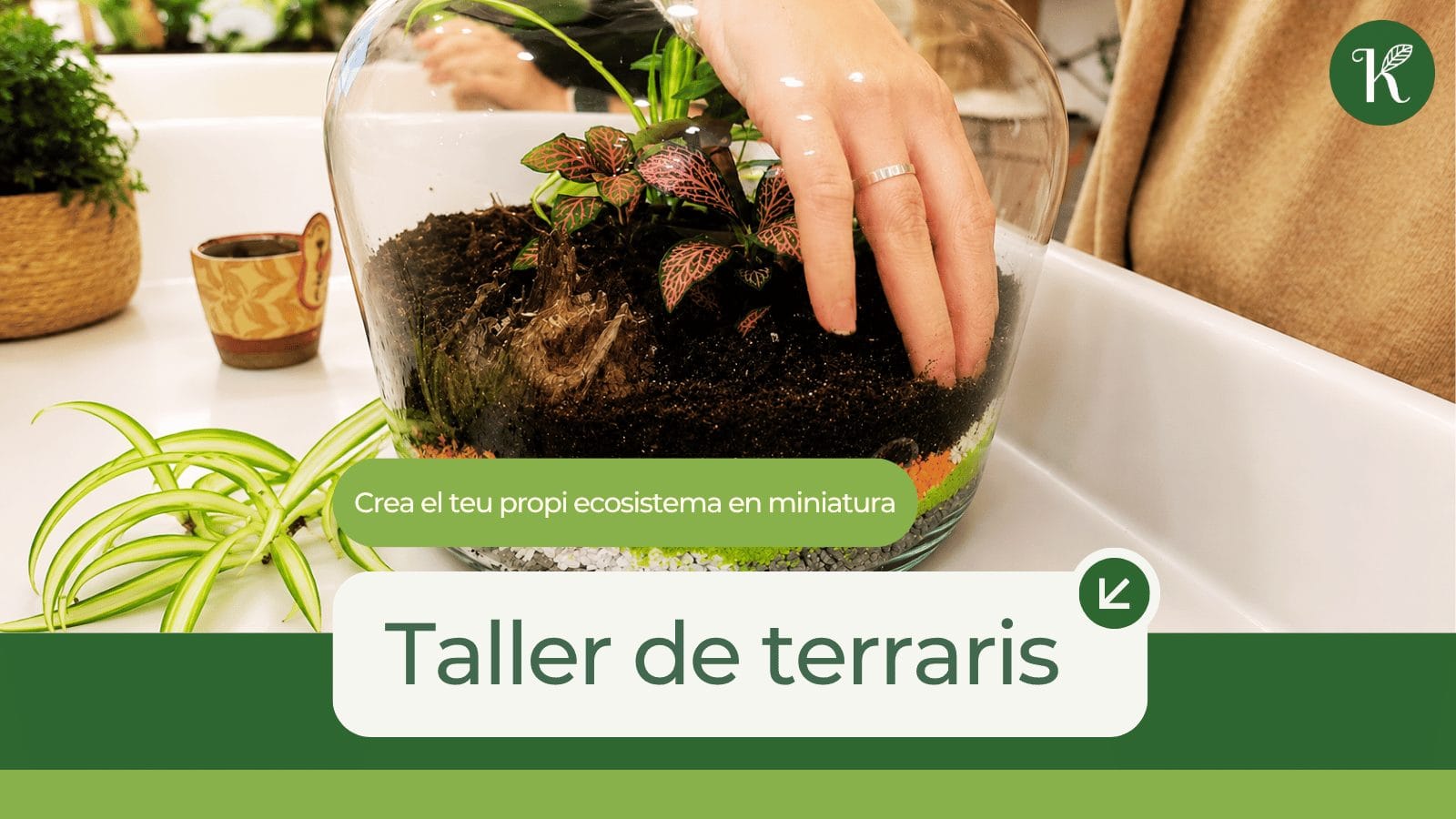 Taller de Terraris de Keio Jardins a Tortosa