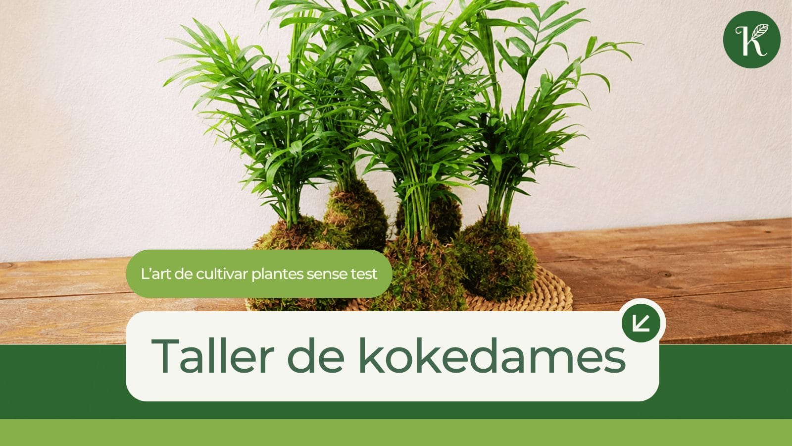 Taller de Kokedama a Tortosa amb keio Jardins